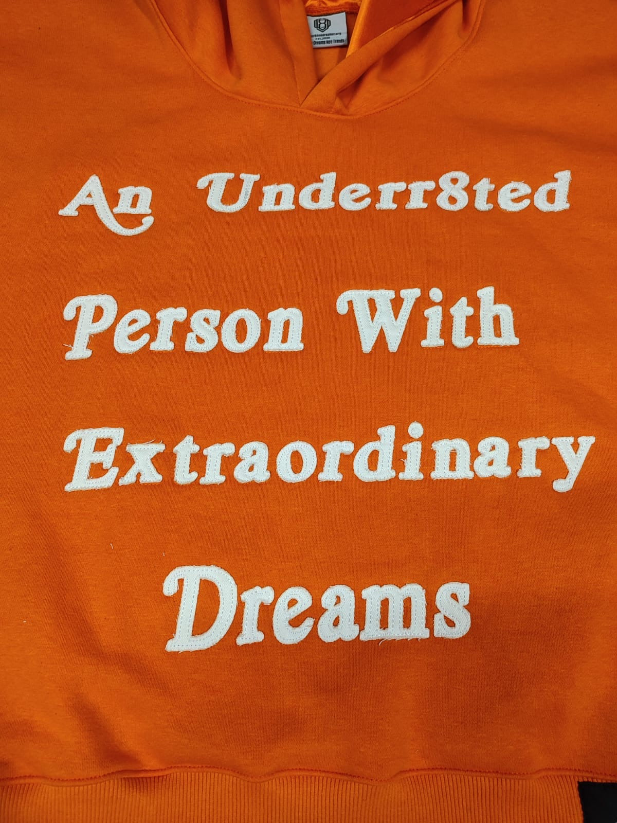 Extraordinary Hoodies "Orange"